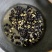 福建福鼎白茶茶叶种子茶籽落地茶果大量现货供应，百分百发芽