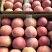 苹果红富士大量供应欢迎光临