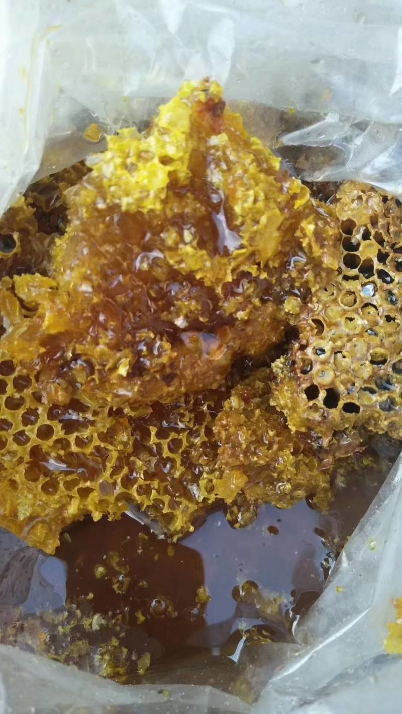 大瑶山野生石崖蜂蜜树洞蜂蜜(百花冬蜜)纯正野生蜜糖