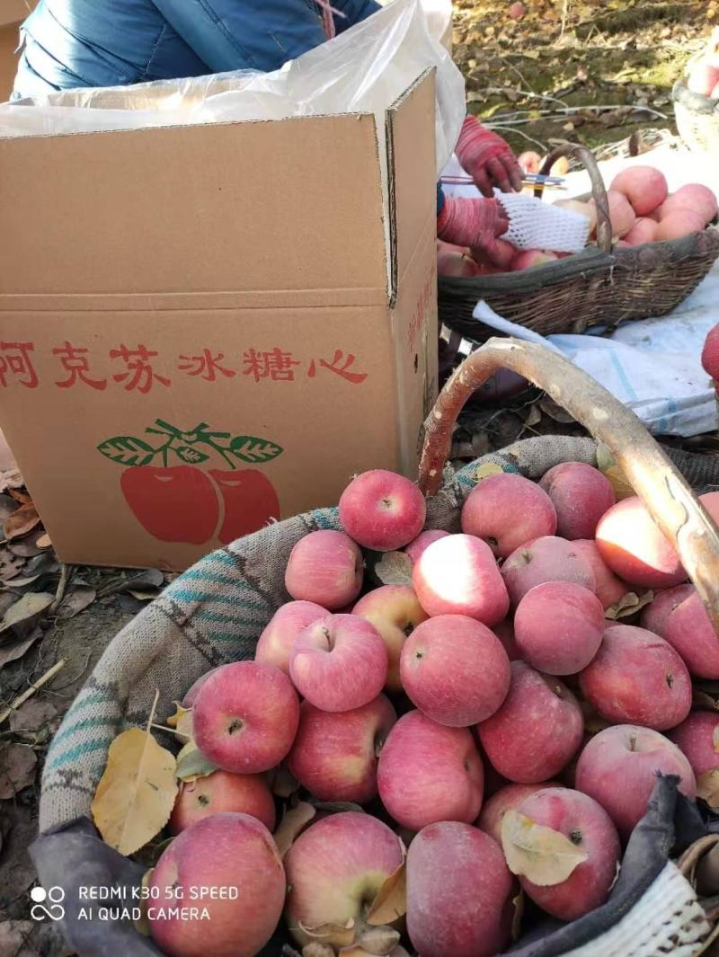 新疆阿克苏苹果超级供货商