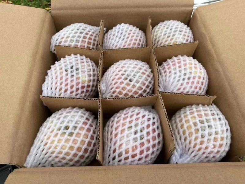 新疆阿克苏苹果超级供货商