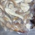 冰冻鸡枞片，全菇体加工
