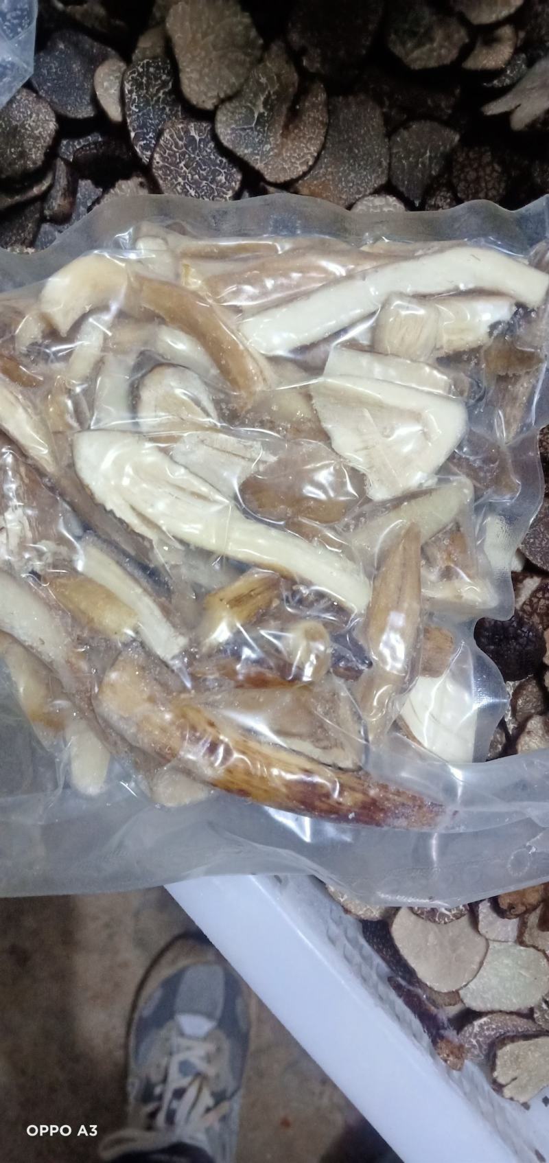 冰冻鸡枞片，全菇体加工