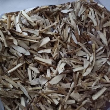 冰冻鸡枞片，全菇体加工