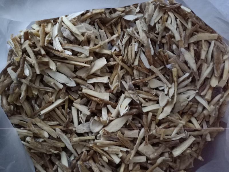 冰冻鸡枞片，全菇体加工
