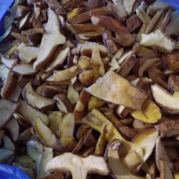 批发各种野生菌(干，鲜，冻)