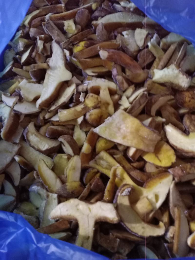 批发各种野生菌(干，鲜，冻)