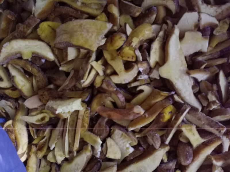 批发各种野生菌(干，鲜，冻)