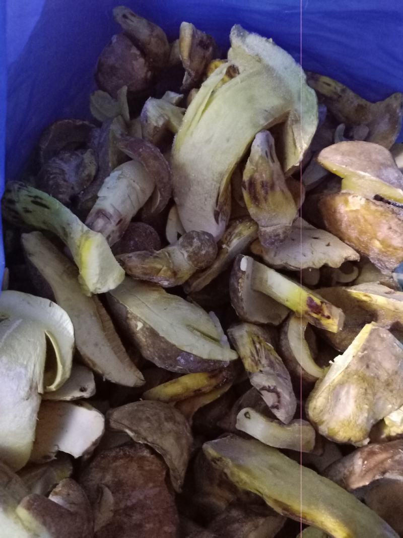 白葱冰冻，来自大自然的美食