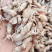 鲜海兔！可即食！味道鲜美！干度5/6成干！自己渔船捕捞的