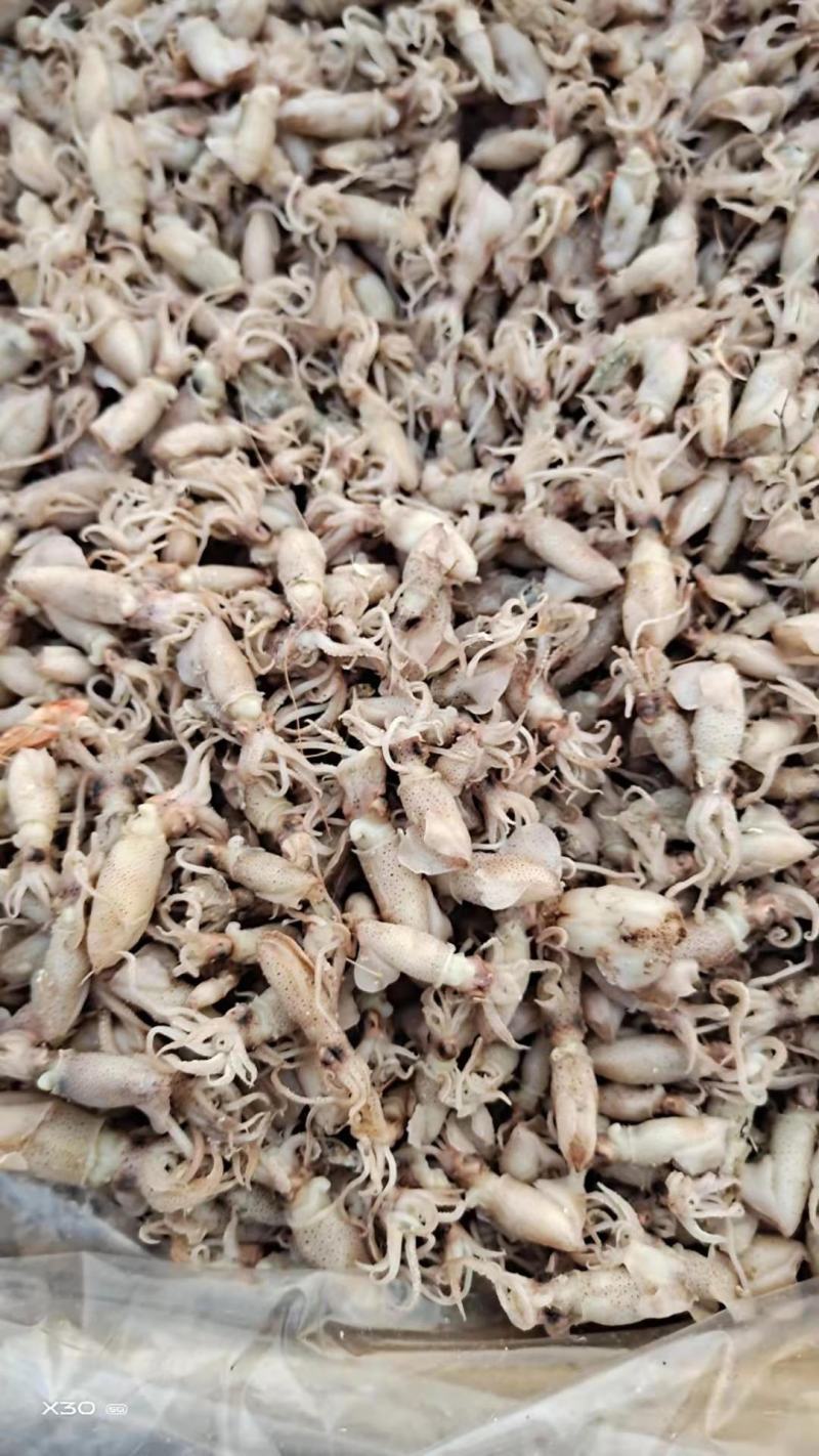 鲜海兔！可即食！味道鲜美！干度5/6成干！自己渔船捕捞的