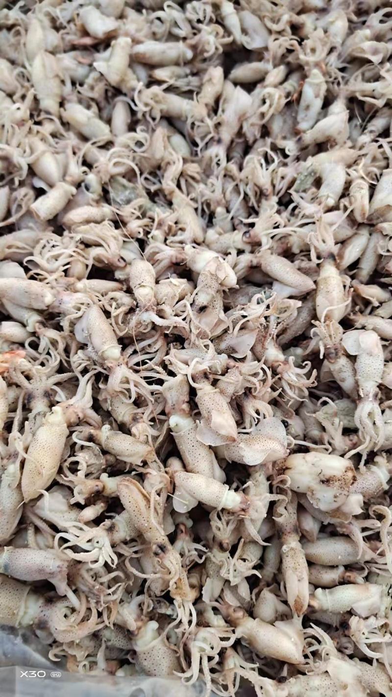 鲜海兔！可即食！味道鲜美！干度5/6成干！自己渔船捕捞的