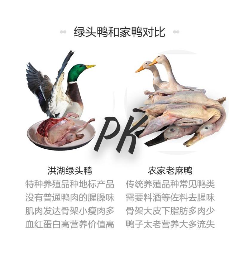 【地标产品盒马合作】纯粮喂养洪湖绿头鸭货源稳定