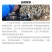 【地标产品盒马合作】纯粮喂养洪湖绿头鸭货源稳定