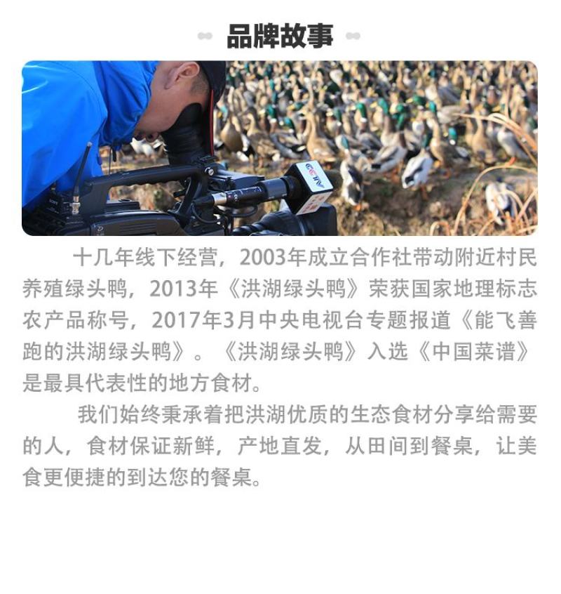 【地标产品盒马合作】纯粮喂养洪湖绿头鸭货源稳定