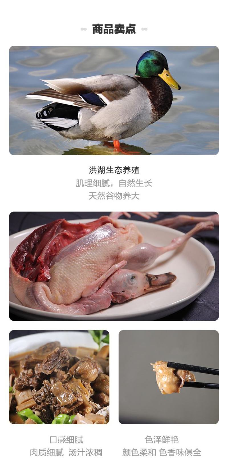【地标产品盒马合作】纯粮喂养洪湖绿头鸭货源稳定