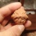 产地直发，大量批发，拿货老板招呼。
