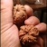 产地直发，大量批发，拿货老板招呼。