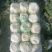 精品小颗白菜，3-5斤左右，各种包装，目前陆续上市…