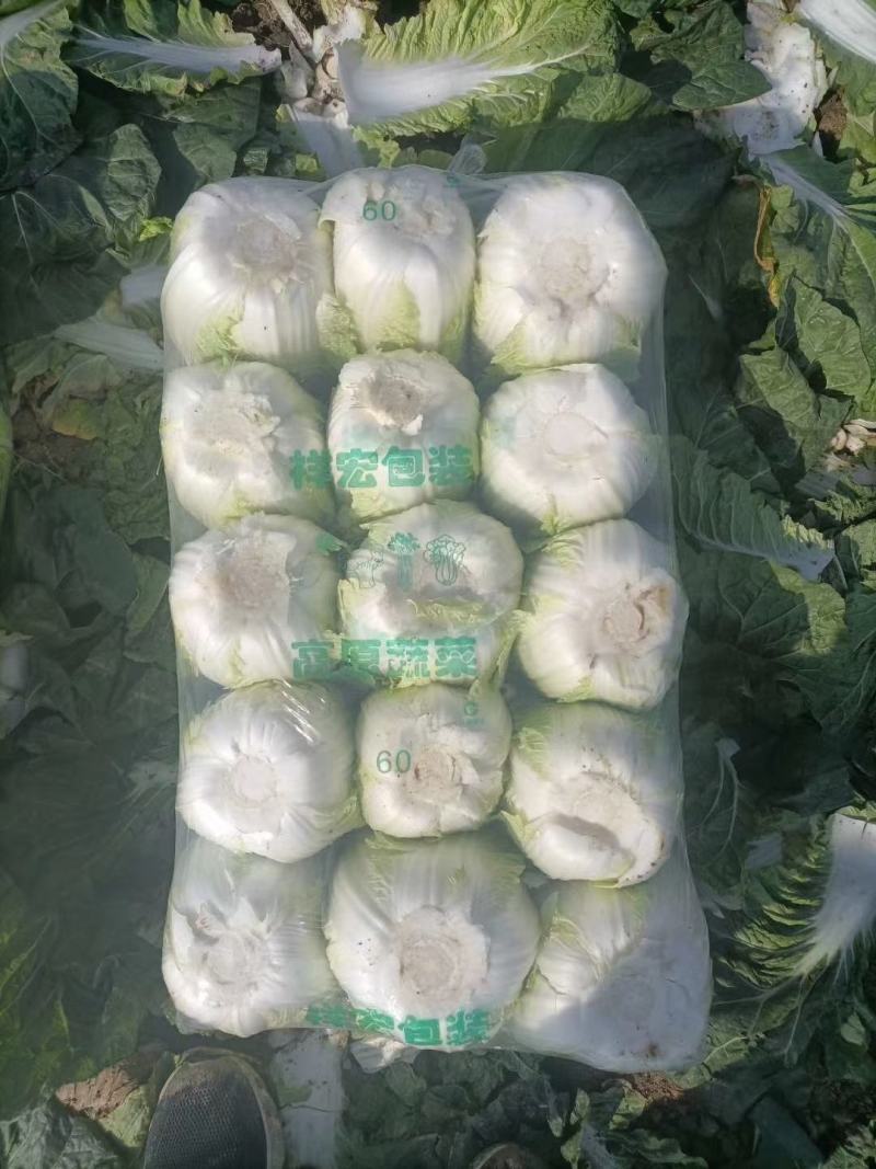 精品小颗白菜，3-5斤左右，各种包装，目前陆续上市…