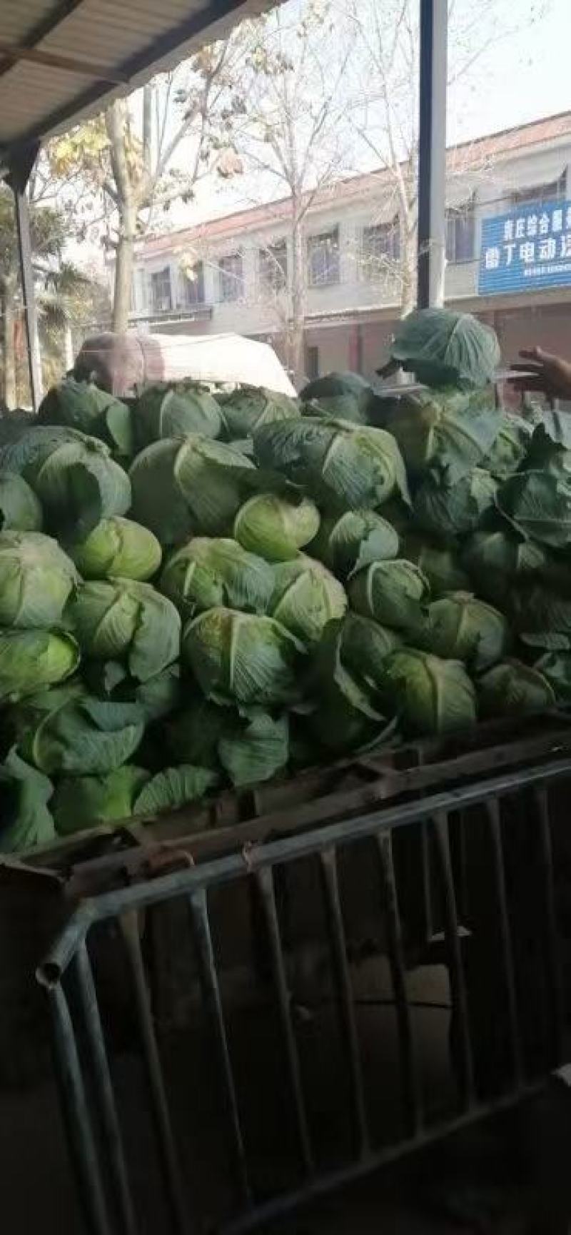 奥奇娜，商超品质，货源充足，可发市场加工厂…