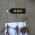 欧李钙果苗（河北农大钙果苗）一手货源基地直销当年结果