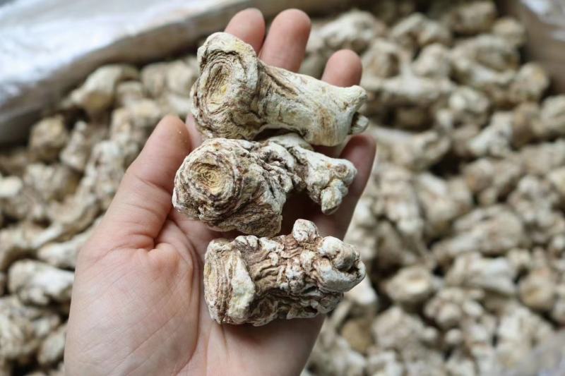 广州人25头白色当归头女性恩物支持一件代发批发货源