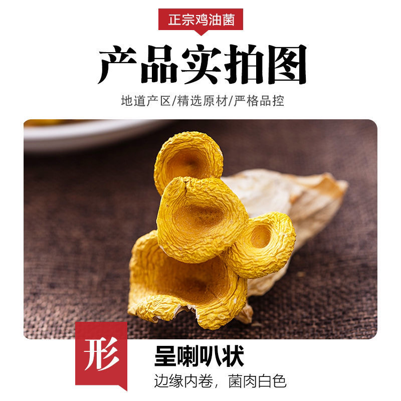 黄金鸡油菌散碎片大甩卖大量出售价格美丽20斤起发