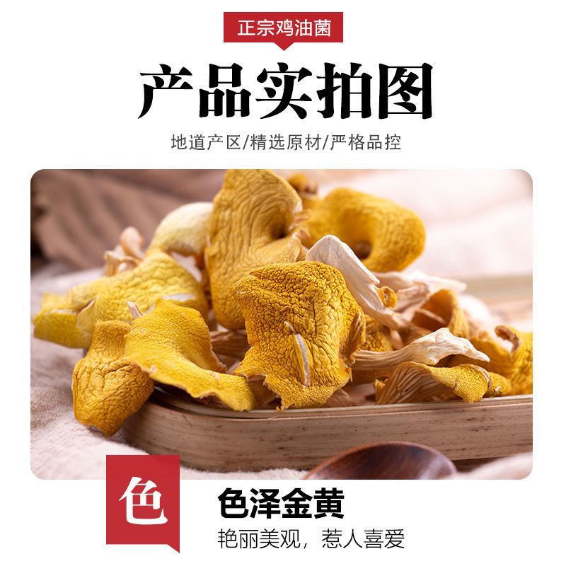 黄金鸡油菌散碎片大甩卖大量出售价格美丽20斤起发