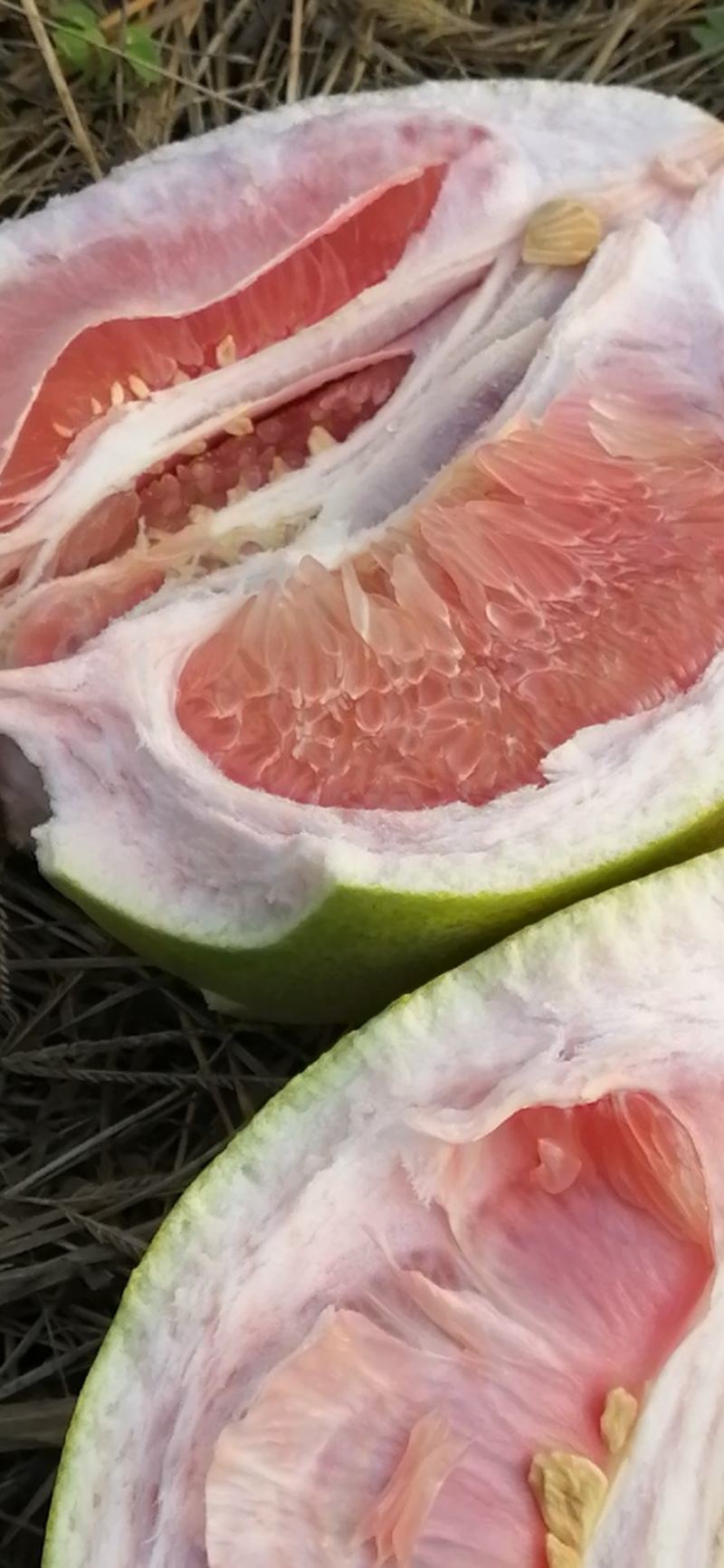 三红脆柚#扶贫产品新鲜水果扶贫助力生态农产品