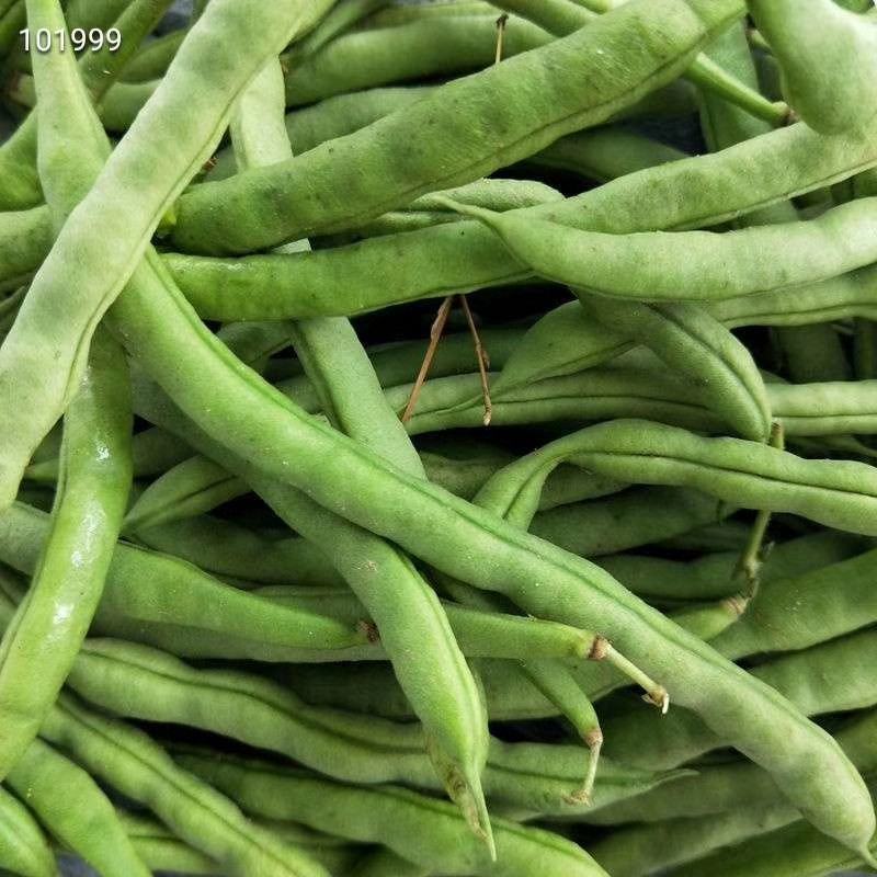 云南豆角也来凑热闹脆脆嫩嫩的口感，做菜佳品，干煸、凉拌