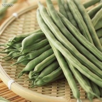 云南豆角也来凑热闹脆脆嫩嫩的口感，做菜佳品，干煸、凉拌