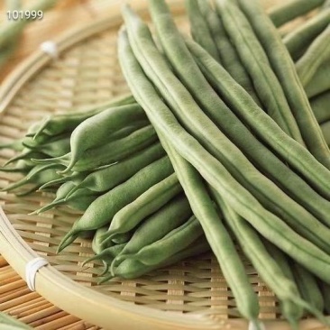 云南豆角也来凑热闹脆脆嫩嫩的口感，做菜佳品，干煸、凉拌