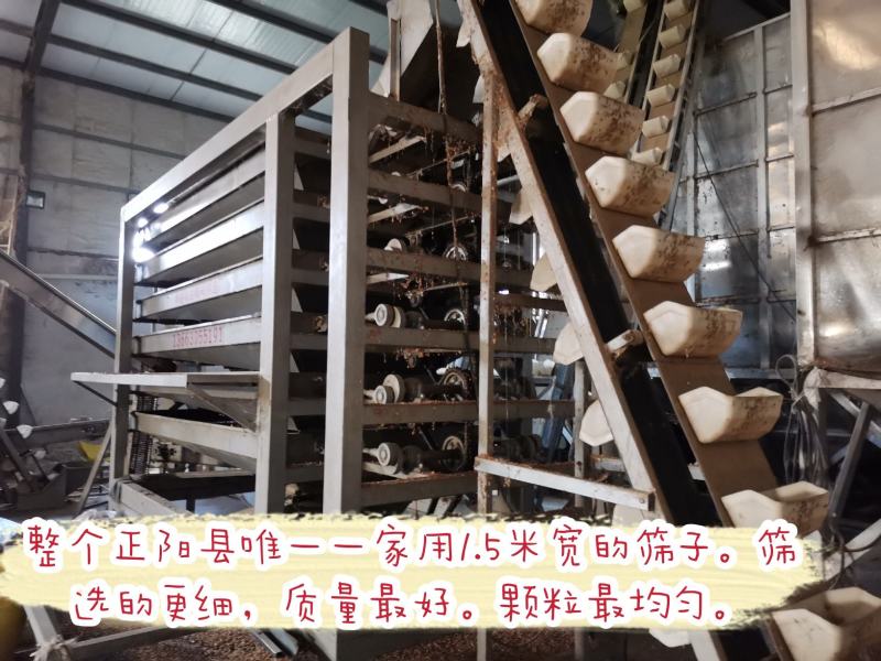 河南正阳白沙花生米食品厂超市电商专用规格花生米可开发票