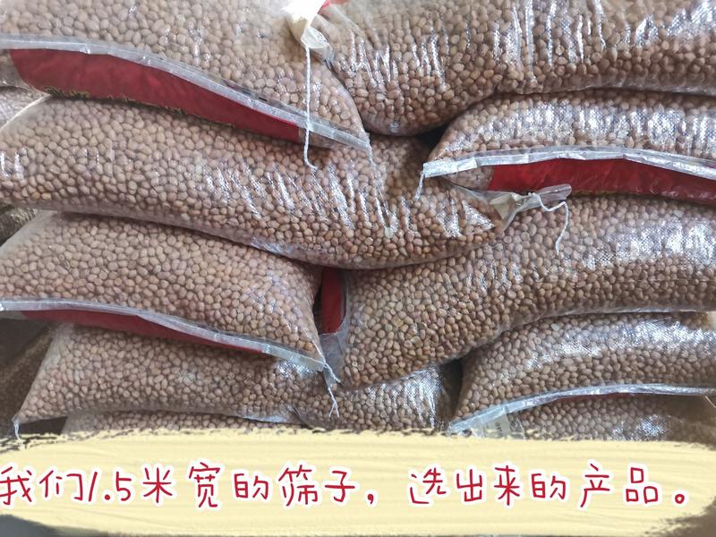河南正阳白沙花生米食品厂超市电商专用规格花生米可开发票