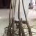 苗圃出售美国山核桃树苗碧根果树苗波尼马汉品种纯