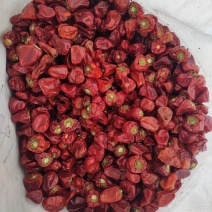 草莓椒灯笼椒海椒大个头精品手选的