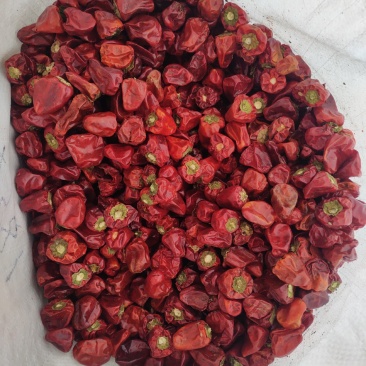 草莓椒灯笼椒海椒大个头精品手选的
