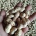 人工手捡果干花生一级品