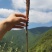 大凉山高山甜当归蔬菜当归营养价值丰富炖鸡炖鸭炖排骨非常好