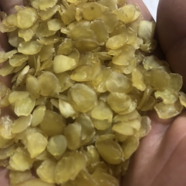 无糖无硫单荚皂角米（雪莲子）