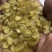 无糖无硫单荚皂角米（雪莲子）