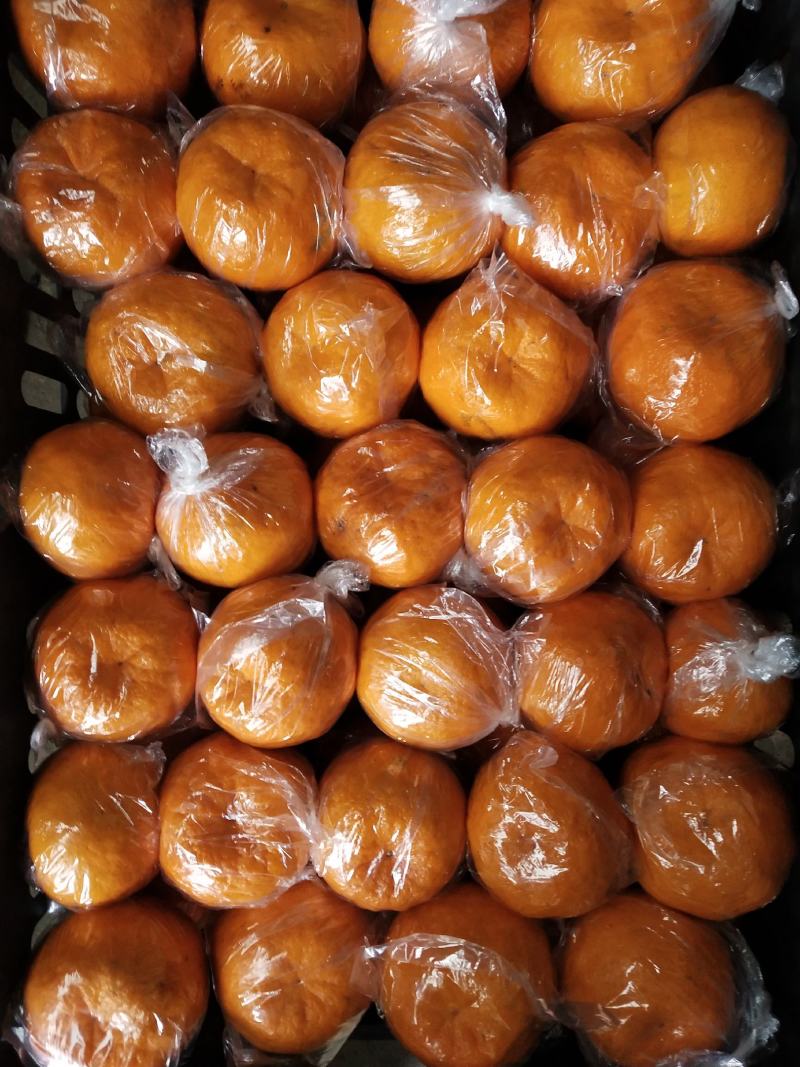 椪柑，湖南万亩产区直供！皮毛干净，颜色红口感甜，易化渣