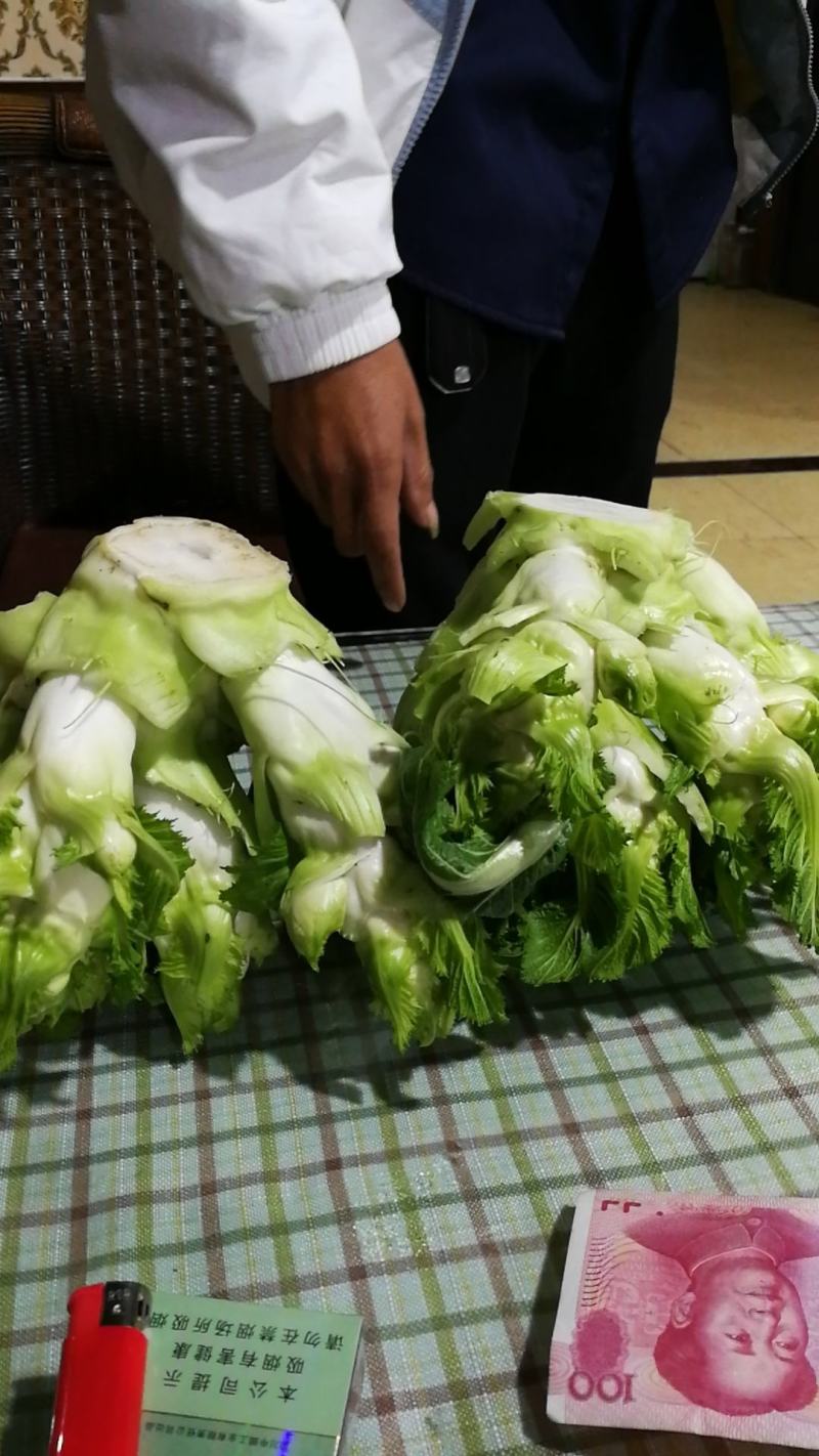 郫都区精品儿菜上市了，我们决对诚信经营。
