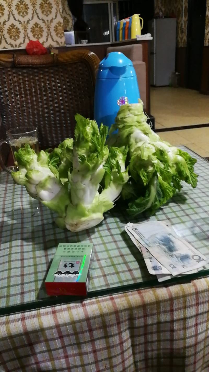 郫都区精品儿菜上市了，我们决对诚信经营。