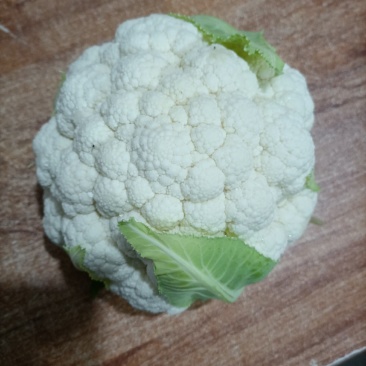 陕西精品菜花便宜了，基地直供！！！！！！！！！！！！！！