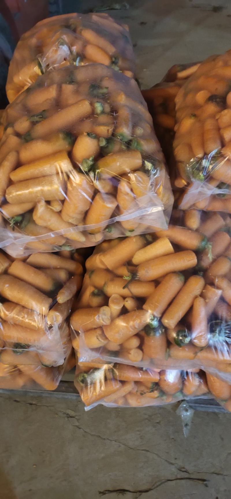 养殖用胡萝卜，次品胡萝卜，加工厂，脱水蔬菜，大吨位供应