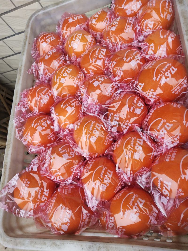 湖南脐橙产地直供，各种包装袋都有，要货的联系