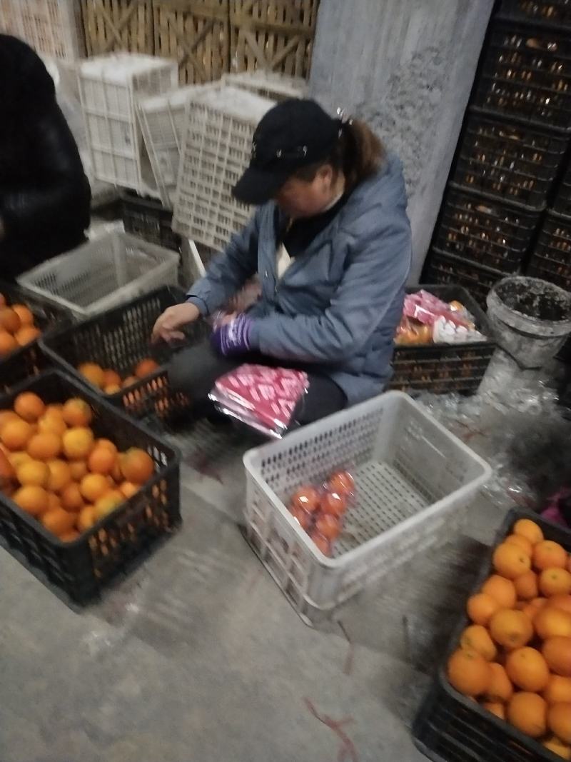 湖南脐橙产地直供，各种包装袋都有，要货的联系