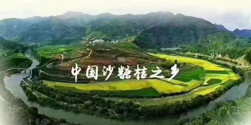中国西林县砂糖橘之乡